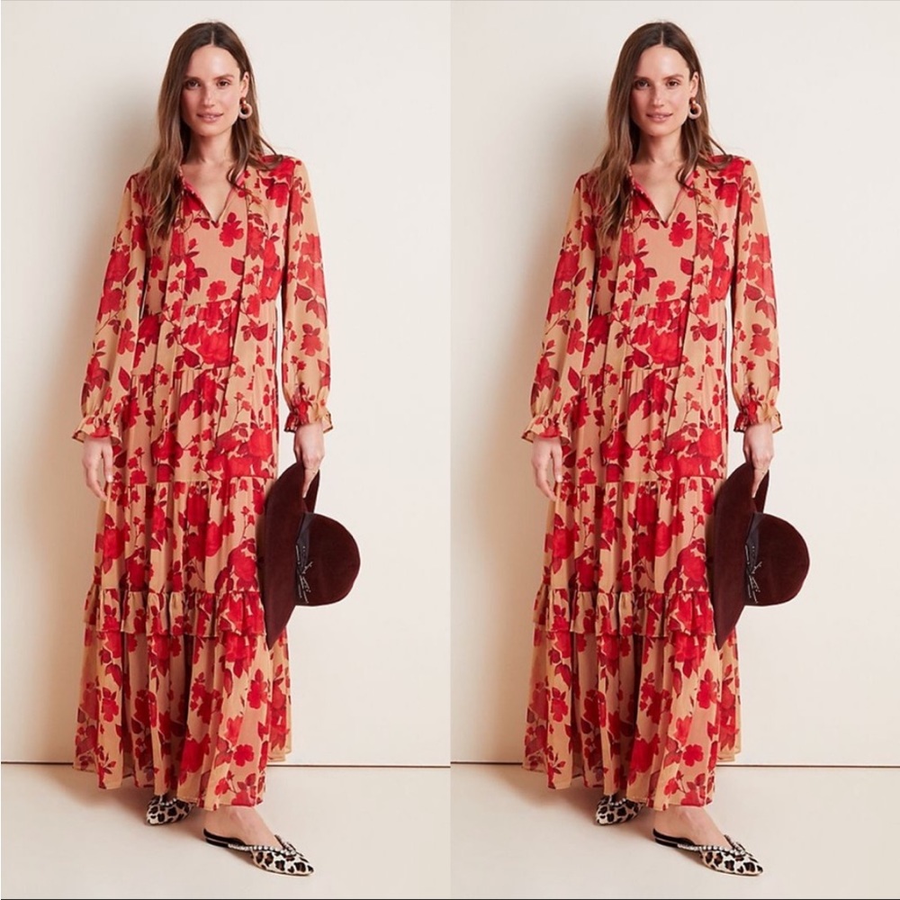 NWT Anthropologie Rosalita Sheer Maxi Dress